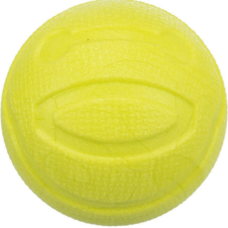 Aqua Toy Hundeball schwimmend