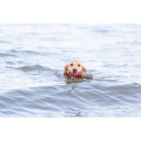 Aqua Toy Leuchtturm, Wasserspielzeug Hund