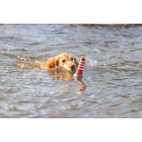 Aqua Toy Leuchtturm, Wasserspielzeug Hund