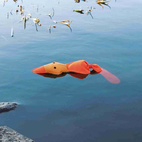 Aqua Toy Schwimmente Hundespielzeug