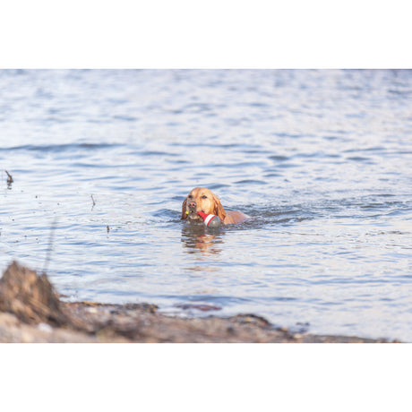 Aqua Toy Snack Boje Hundespielzeug