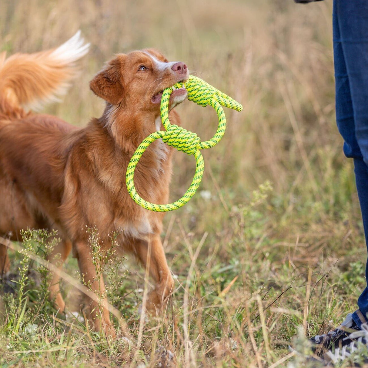 Aqua Toy Spieltau für Hunde
