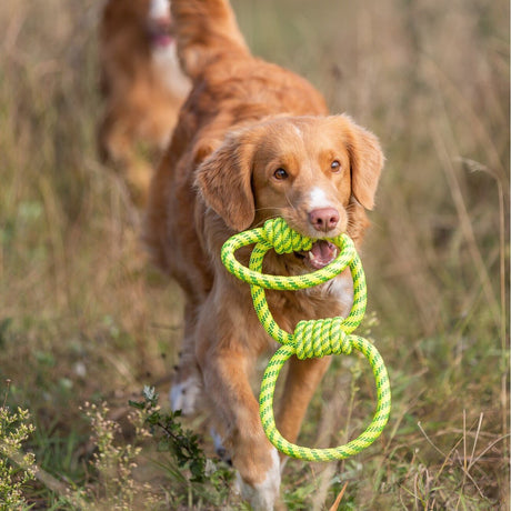 Aqua Toy Spieltau für Hunde