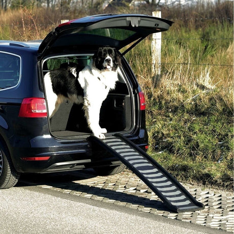 klappbare Kofferraumrampe für Hunde