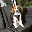 Auto Hundegeschirr Dog Protect