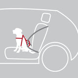 Auto Hundegeschirr Dog Protect