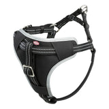 Auto Hundegeschirr Dog Protect