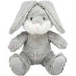 Be Eco Hase Evan