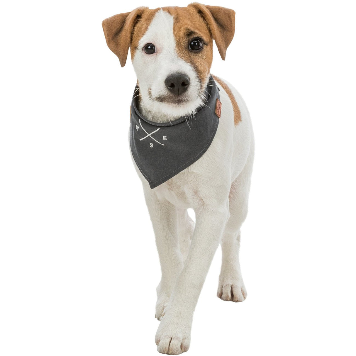 Be Nordic Hunde Halstuch