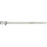 CityStyle PVC Hundehalsband