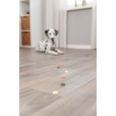 Cookie Snack Loops