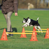 Hindernis Trainingsset mit Pylonen für Hunde