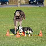 Hindernis Trainingsset mit Pylonen für Hunde