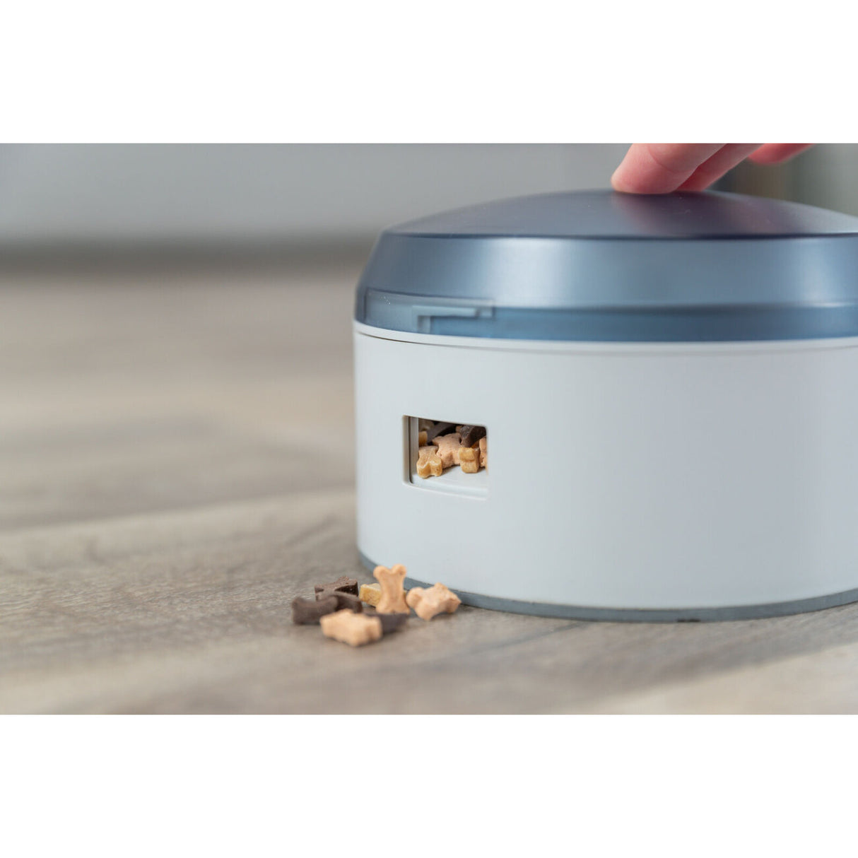 Dog Activity Buzzer für Hunde