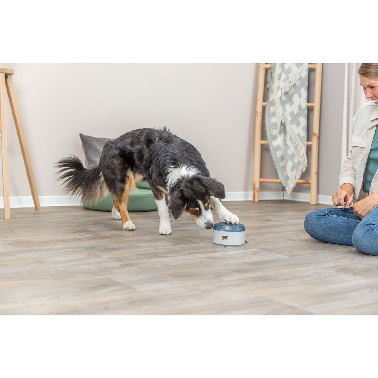 Dog Activity Buzzer für Hunde