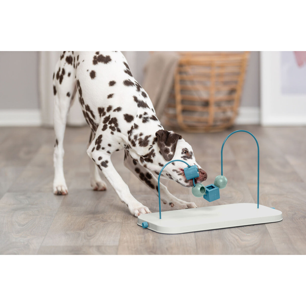 Dog Activity Skills Loop Intelligenzspielzeug für Hunde
