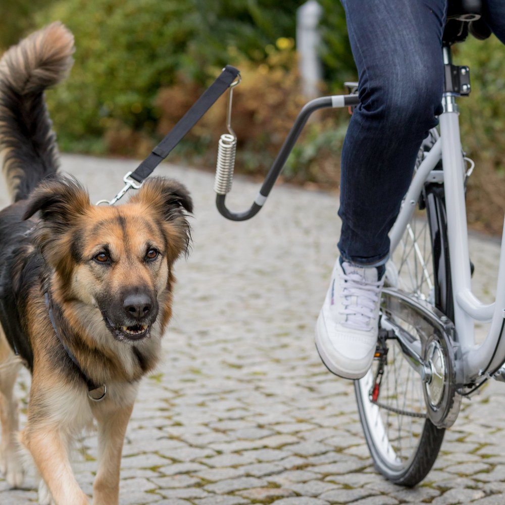 Bikerset für Hunde