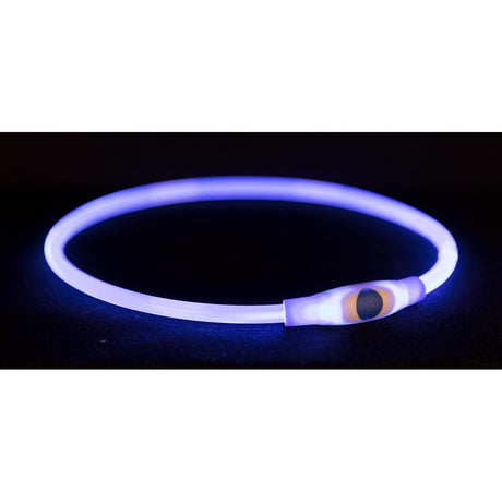 Flash Leuchtring für Hunde USB