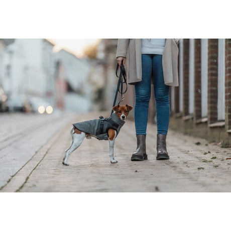 Geschirr-Wintermantel für Hunde Pontis Reflect