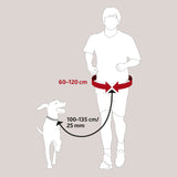 Hundeleine mit Bauchgurt, Hunde Joggingleine
