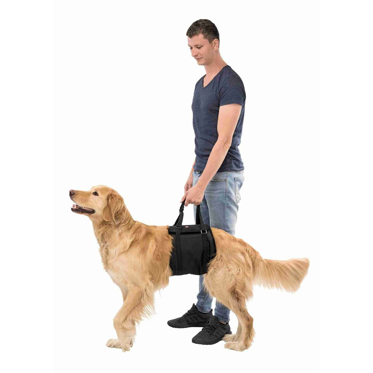 Hebehilfe für Hunde