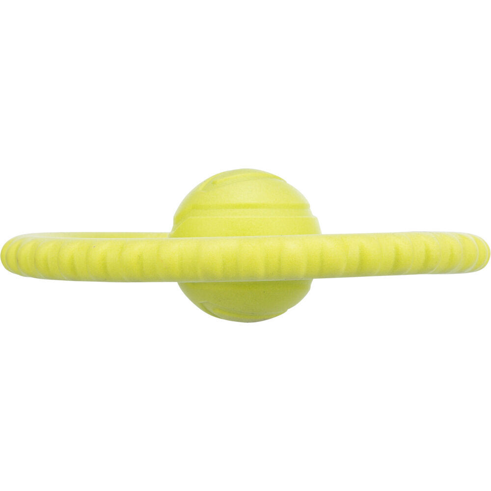 Hunde Aqua Toy Disc