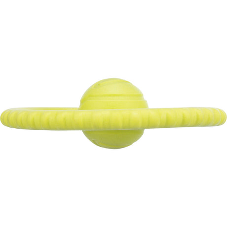 Hunde Aqua Toy Disc