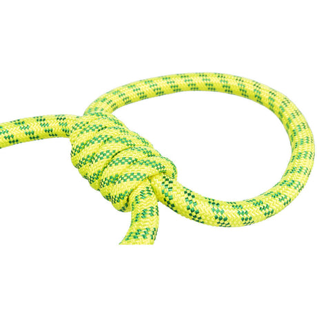 Aqua Toy Spieltau für Hunde