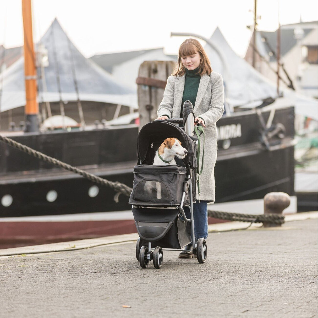 Hunde Buggy