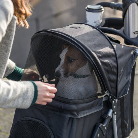 Hunde Buggy