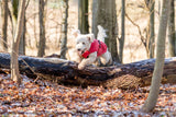 Hunde Regenmantel Vimy mit Bauchschutz
