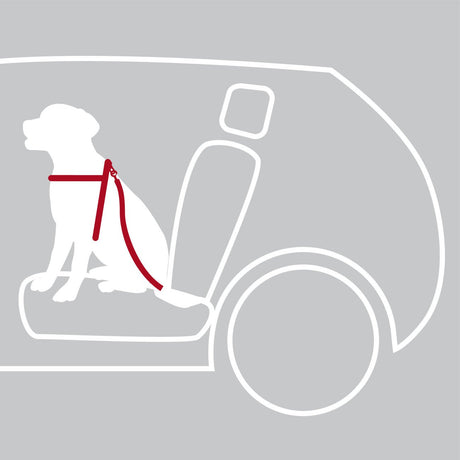 Hunde Sicherheitsgurt Sicherheitsgeschirr für das Auto