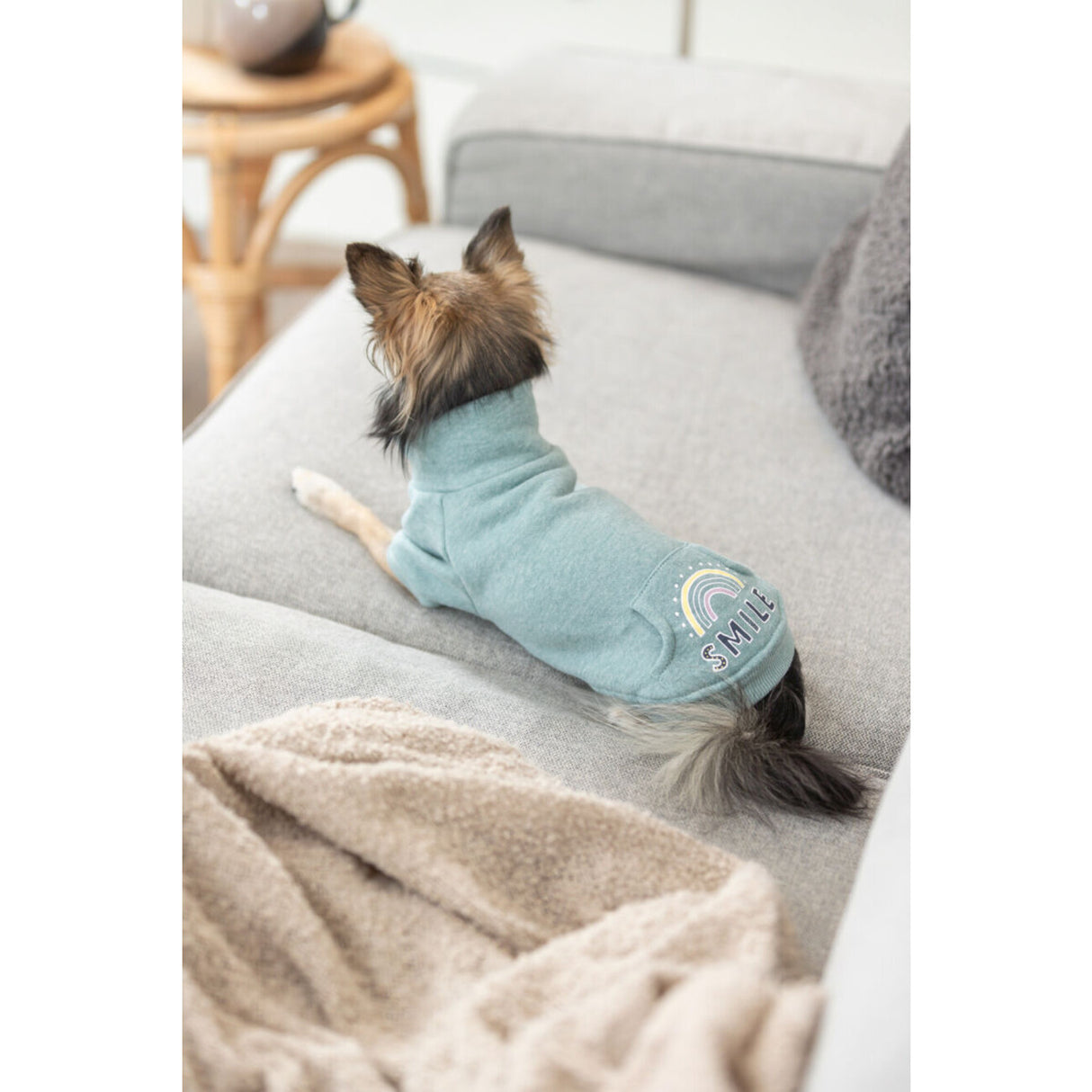 Hunde Sweatshirt Littleton