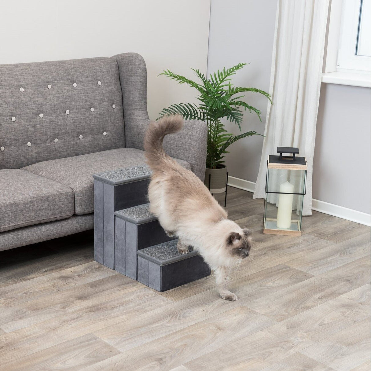 Möbeltreppe für Hund und Katze