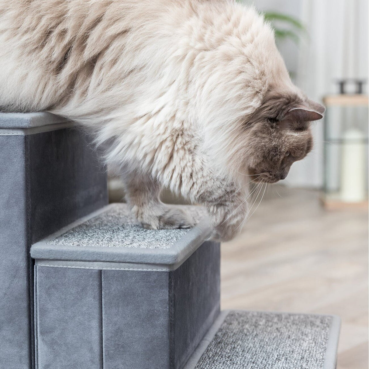 Möbeltreppe für Hund und Katze