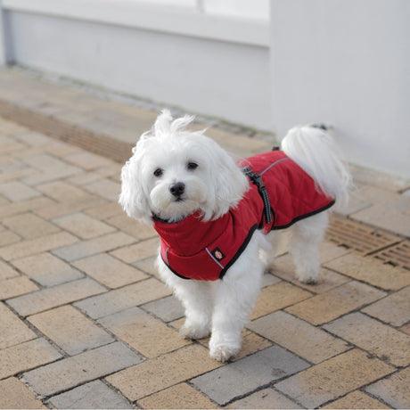 Hundewintermantel Minot