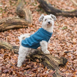 Hundepullover Kenton