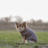 Hundepullover Kenton