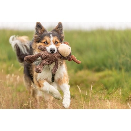 Hundespielzeug Elch aus Plüsch