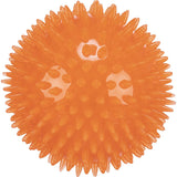 Igelball schwimmendes Hundespielzeug