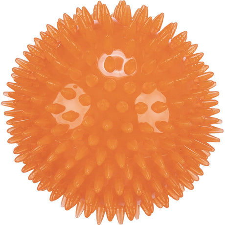 Igelball schwimmendes Hundespielzeug