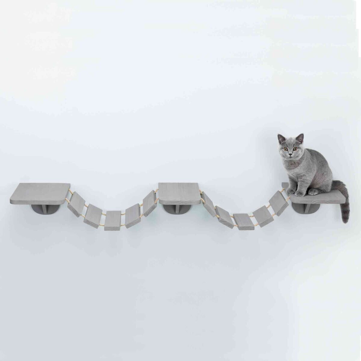 Katzen Kletterleiter zur Wandmontage