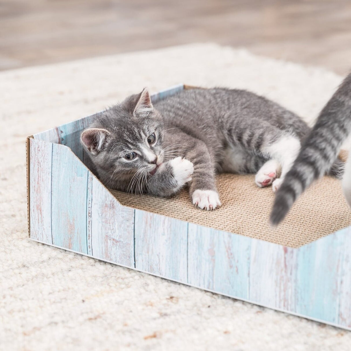 Katzen Kratzbett in bunter Holzoptik
