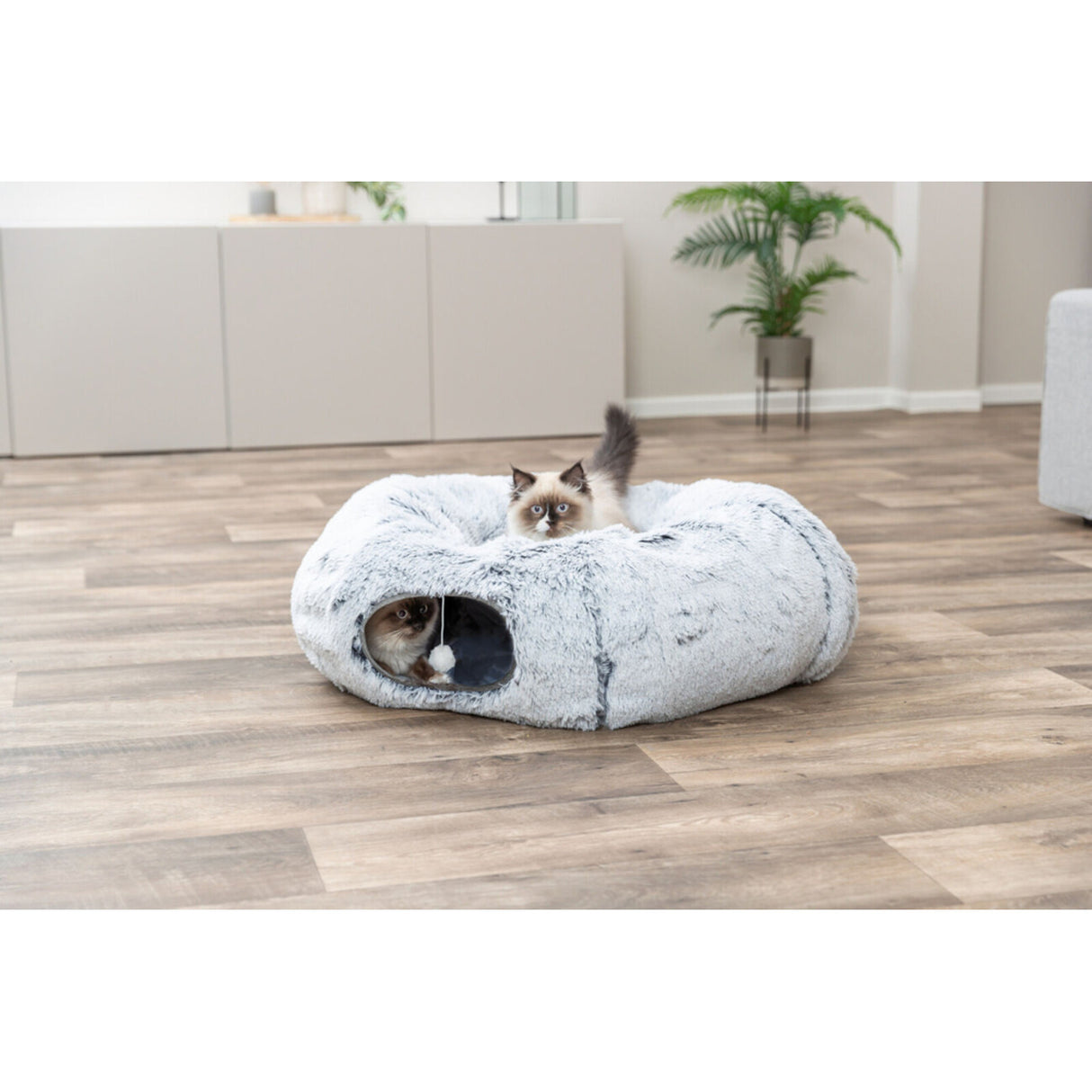 Katzen Spieltunnel Harvey, Katzendonut