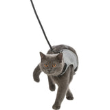 Katzengeschirr mit Leine