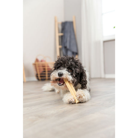 Kaukäse für Hunde