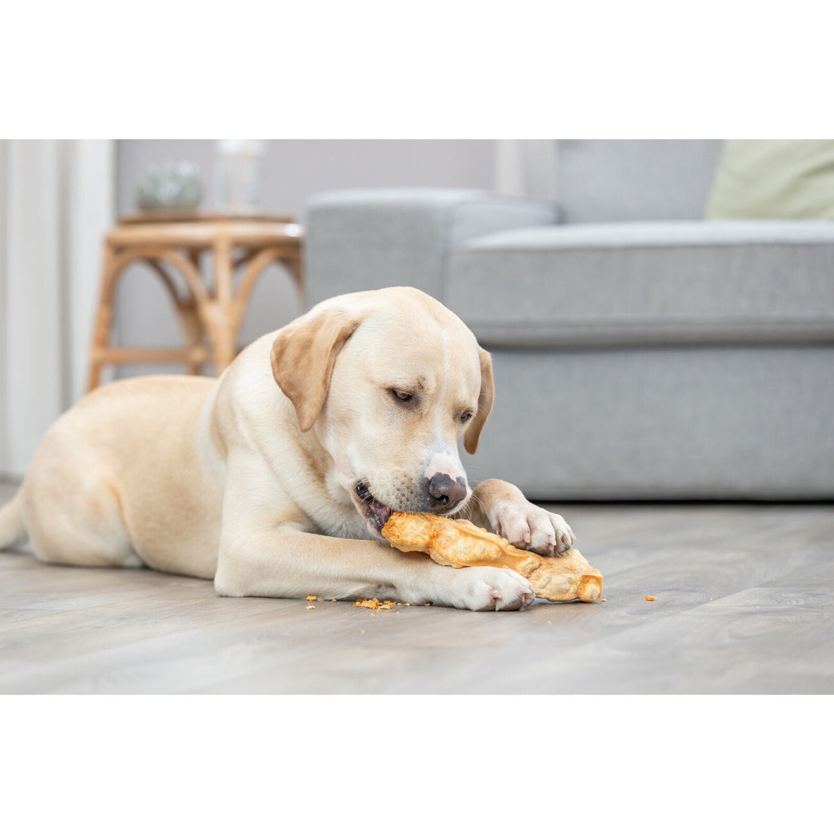 Kaukäse für Hunde