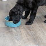 Keramiknapf für Hunde