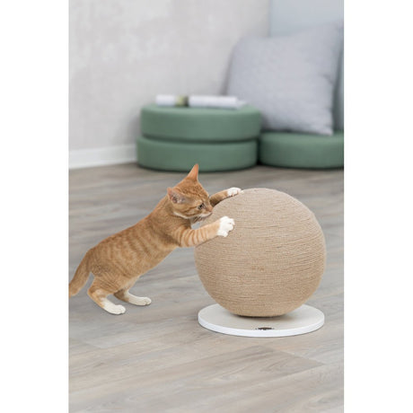 Kratzball für Katzen