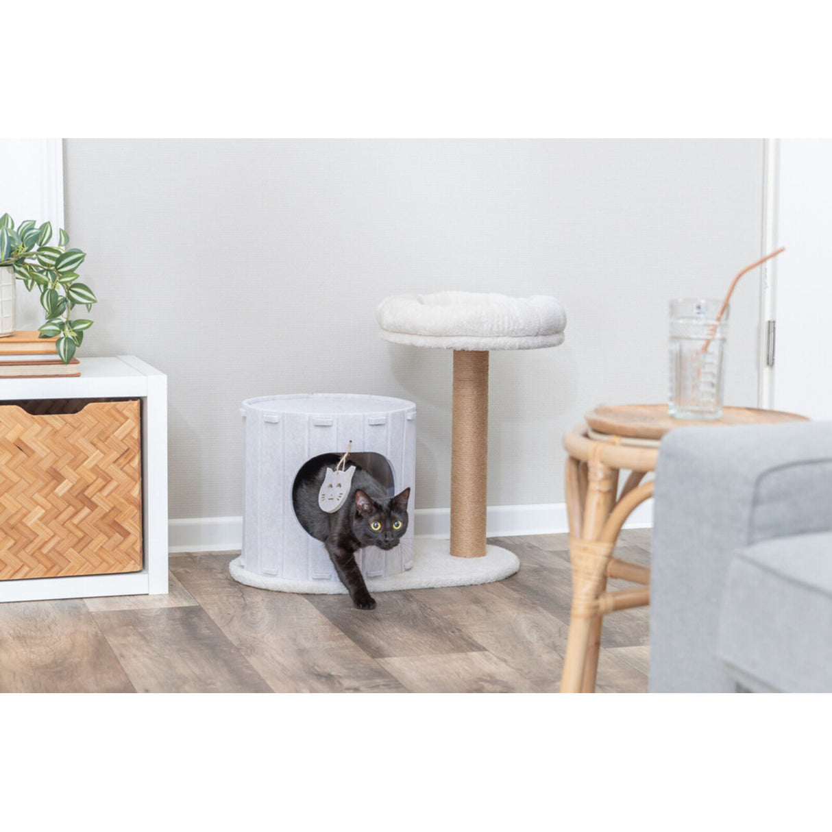 TRIXIE Kratzbaum Filia - Luxus für deine Katze | tiierisch.de – 58 × 37 x 52 cm cm